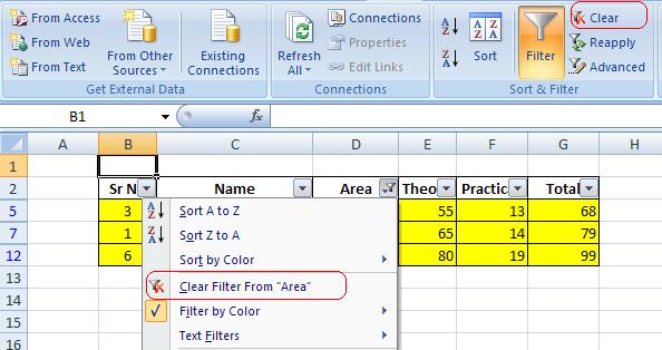 Excel Auto Filter